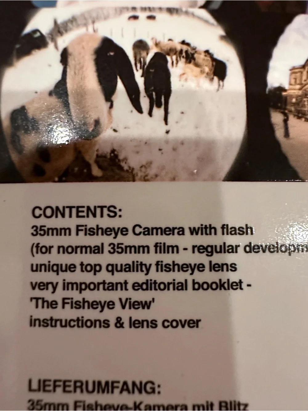 Fisheye 35mm Camera – Blue and White